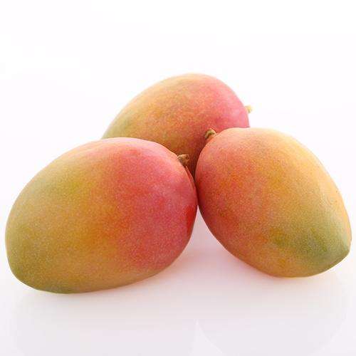 台农芒果怎么分公母,芒果公母哪个好吃