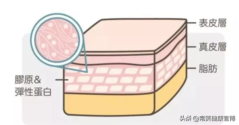 别再浪费胶原蛋白了,别再傻傻的补胶原蛋白了
