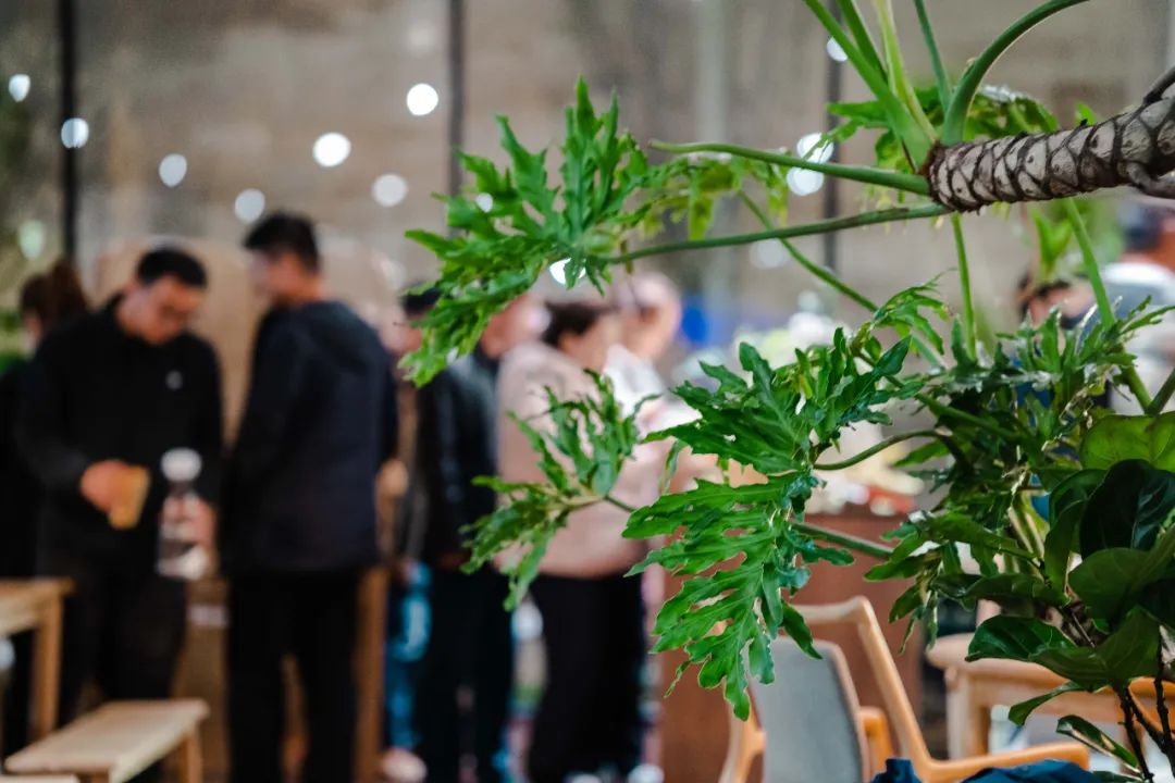 京城首家！探秘最热门“一尺花园”咖啡馆，西山脚*体下**会海派腔调