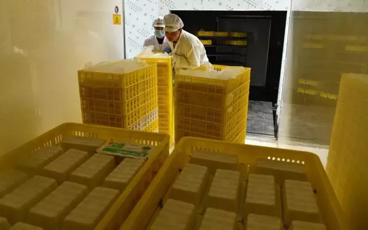 石家庄栾城有什么好的工厂,茨河豆制品加工厂