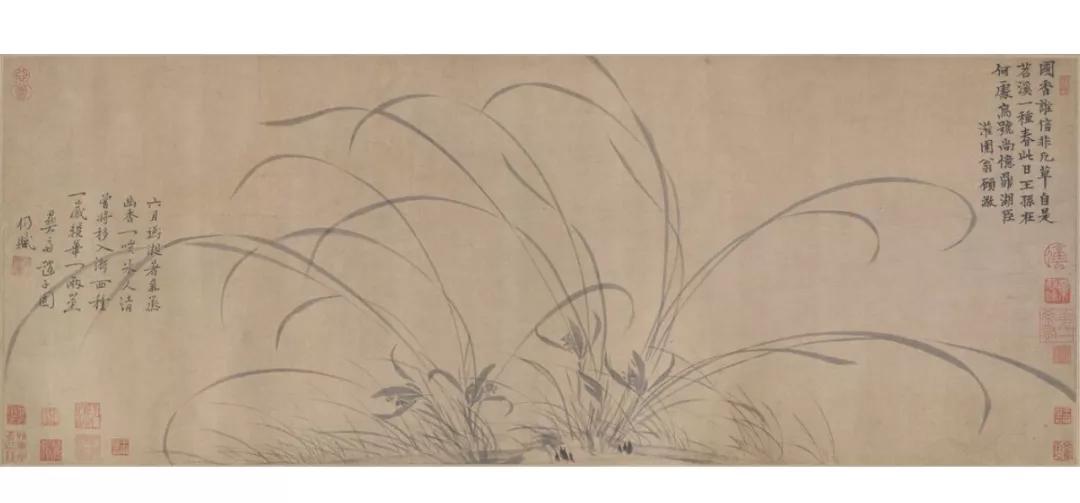 国画兰花加花瓶作品欣赏图片,五幅古代名家笔下的国画兰花欣赏