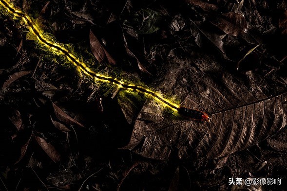 摄影金奖作品风景高清,风光摄影得奖照片