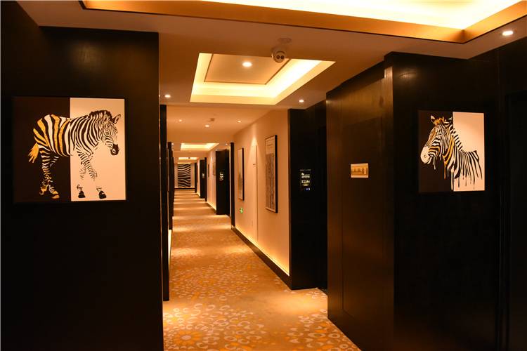 湖州龙之梦主题乐园开放了吗,湖州龙之梦在建项目