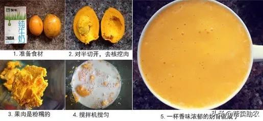 闀垮湪鏍戜笂鐨勭孩钖浮铔嬫灉,闀垮湪鏍戜笂鐨勯浮铔嬫灉