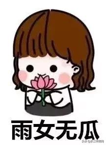 雨女无瓜梗出自哪,雨女无瓜什么梗意思是什么