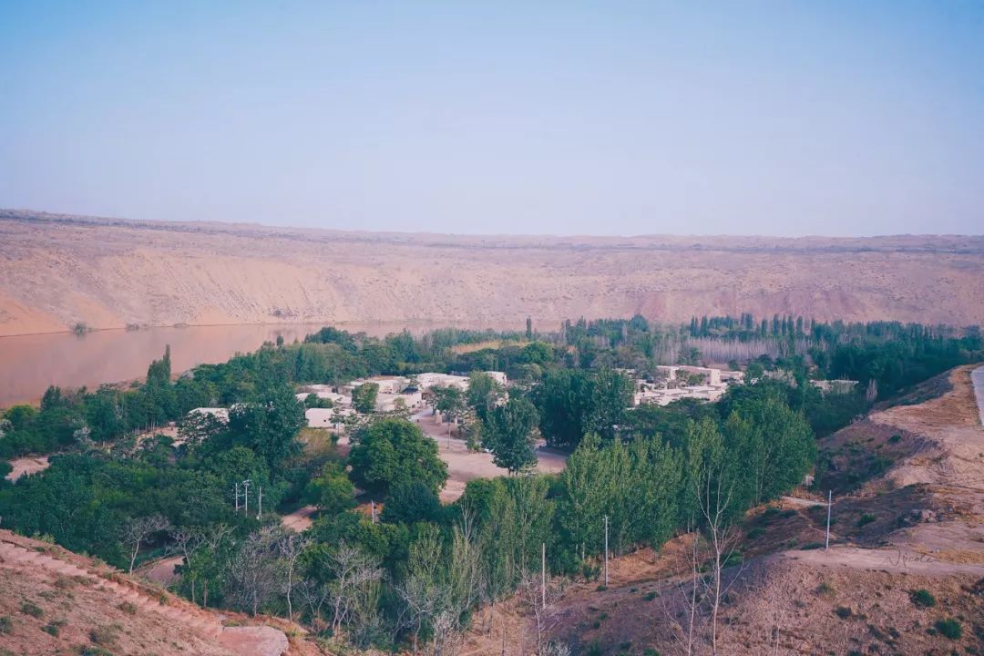 可盐可甜是哪首歌的歌词,可盐可甜出自哪