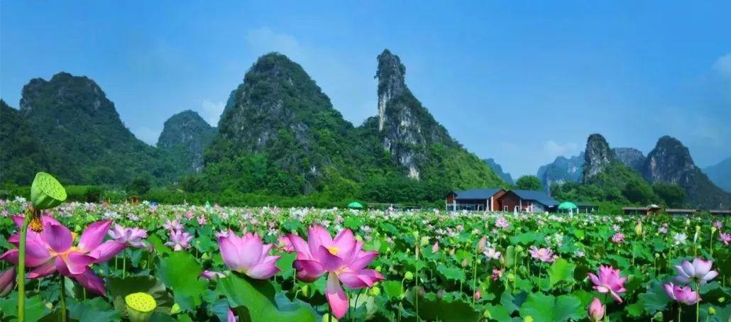 清远市清新区三坑镇旅游景区,清远5a景点在哪里