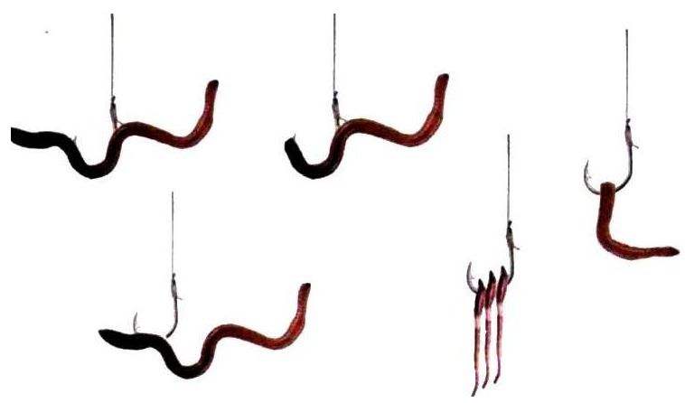 鲶鱼没做好怎么补救,鲶鱼垂钓方法和钓鲶鱼技巧详解