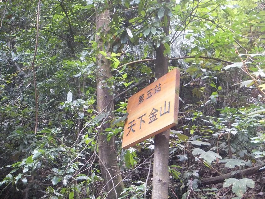 广东省内旅游景点推荐一日游,广东省内游自驾游推荐