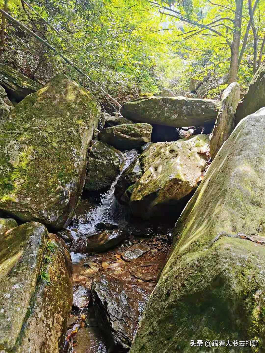 九宫山溯溪怎么去,九宫山附近免费溯溪