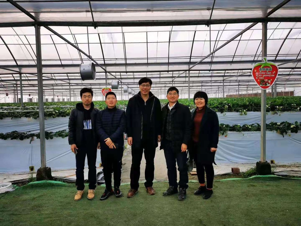 推车卖水果怎么卖好挣钱,上半年卖什么水果赚钱