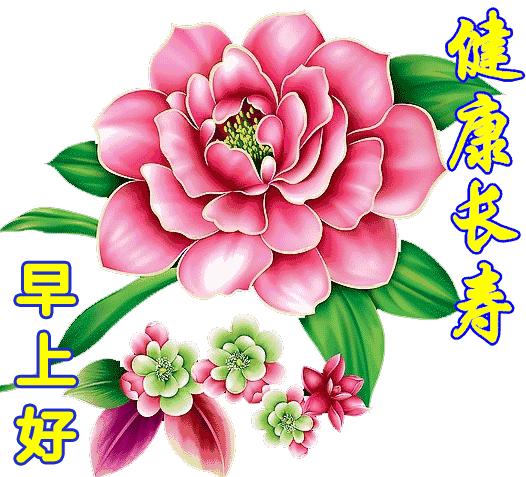 早晨问候早上好暖心句子图片,最新版早上问候动态表情图片大全