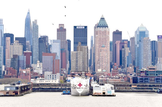 野猪、美洲狮“进城”都不稀奇，它的到来却让无数纽约人毛骨悚然