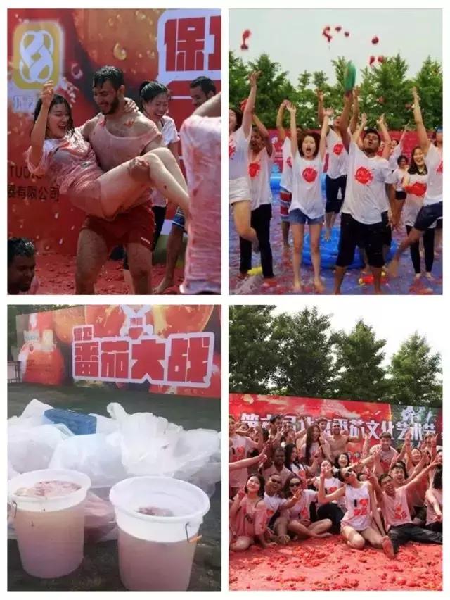 番茄如何赚钱,如何打造一个100亩盈利的农庄