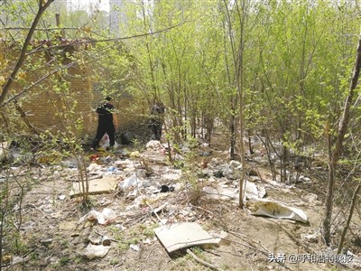 昔日垃圾场变身高颜值花海,昔日脏乱差改造成大型公园
