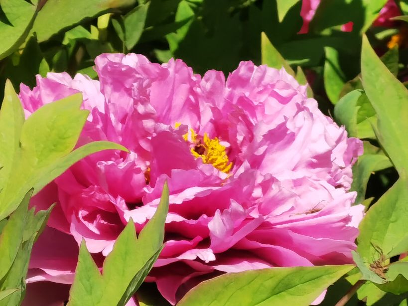 我眼中的美好城市,我眼中的城市是最美的