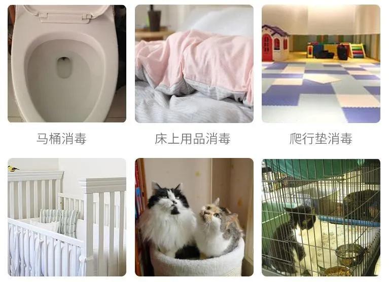 84消毒液和75%酒精哪个消毒更好,84消毒液与酒精消毒的顺序