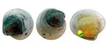 舟山海鲜攻略2天1晚住宿自由行,舟山最好的海鲜