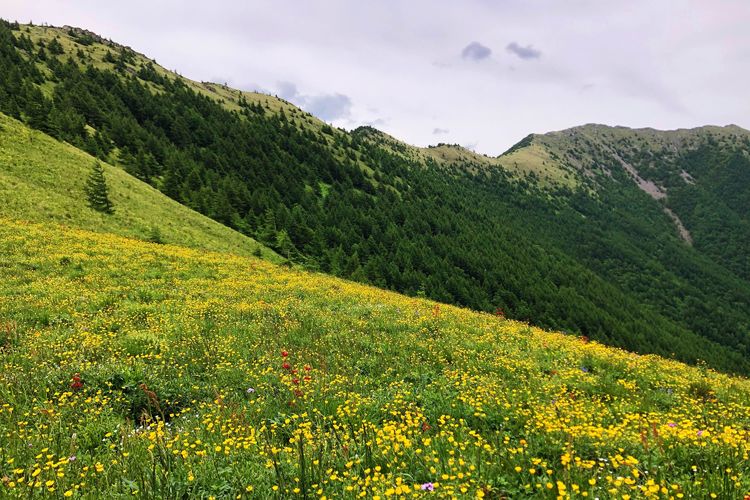 小五台山景区游玩攻略,小五台山快乐一日游
