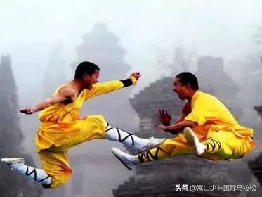 确认过眼神你就是我要遇上对的人,确认过眼神你就是我的人