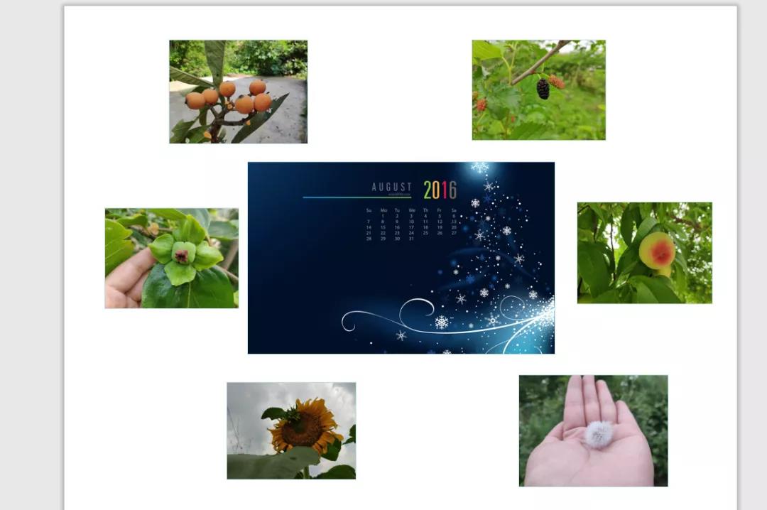 ppt多图排版插件,ppt多图排版创意设计