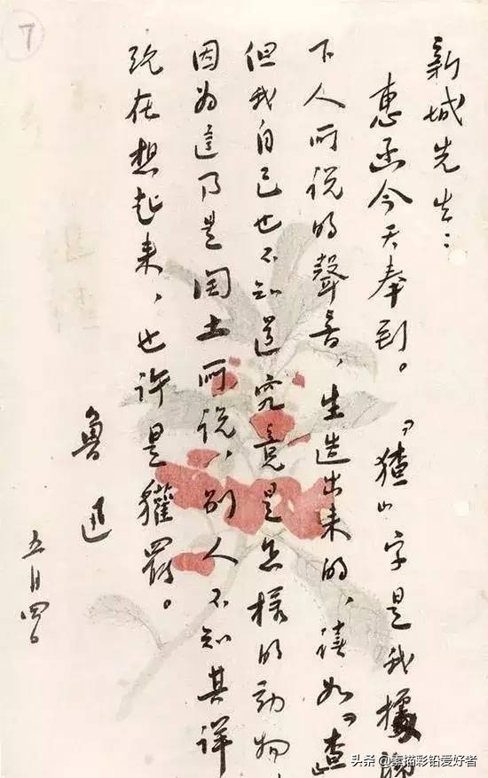 写给鲁迅的先生的一封信,高级的信