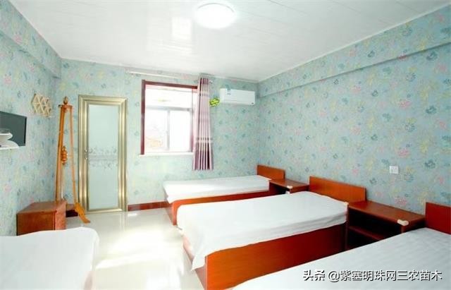 爱上一座城爱上一个人短视频,长岛大壮渔家民宿团购