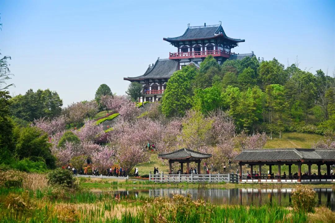 鏍戝眿鐏攨,鏍戝眿鍚冪悆