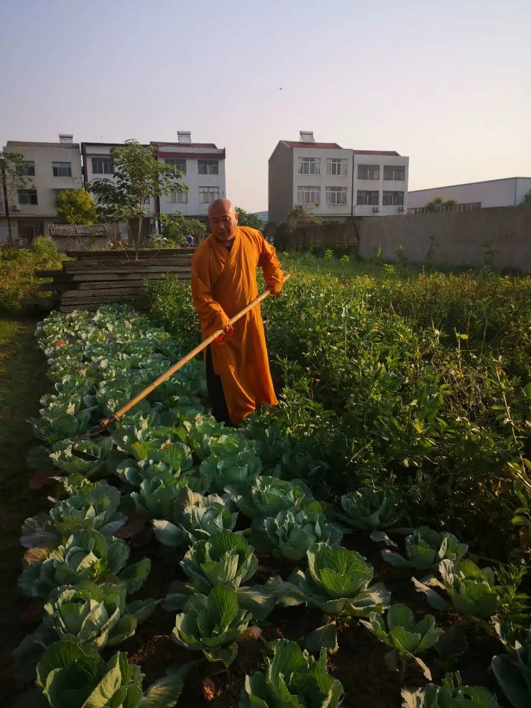 抢抓农时开展农业生产,农民纷纷抢抓春耕生产有利时机