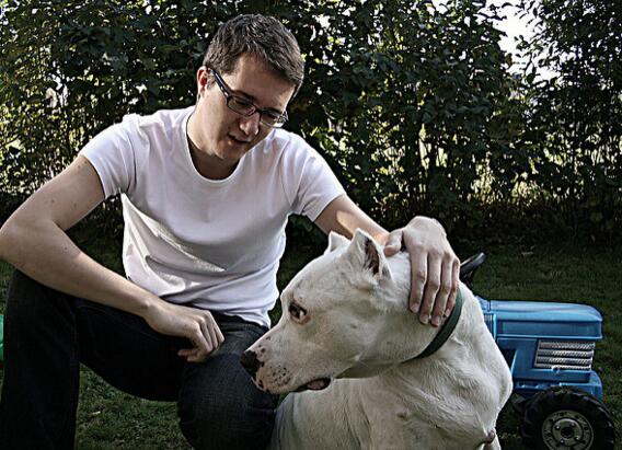 雪白的追猎者，野猪克星。阿根廷杜高！！