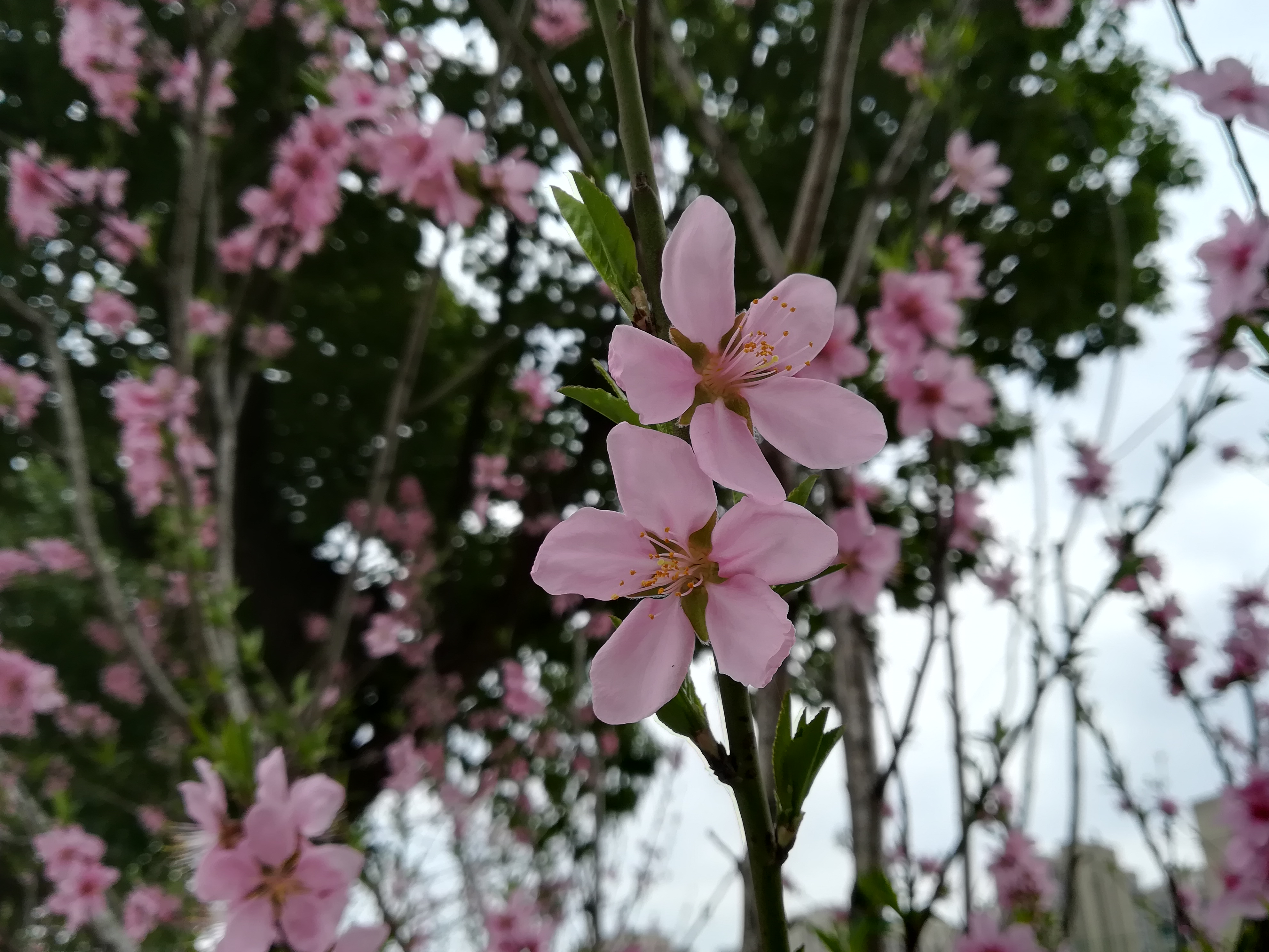 苏州越溪永旺梦乐城,苏州新区永旺梦乐城