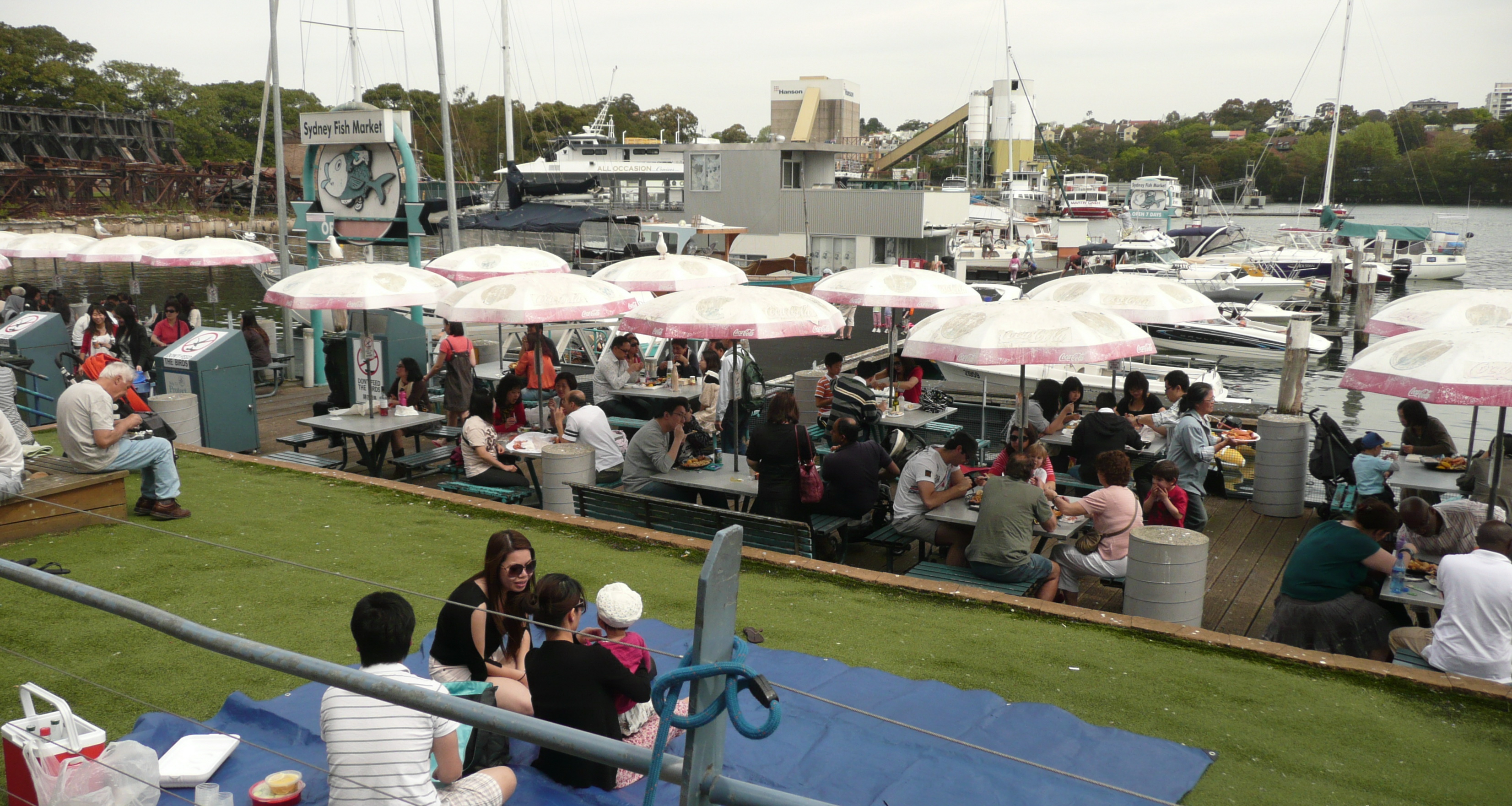 澳大利亚可以钓什么鱼,澳大利亚黄金海岸钓鱼