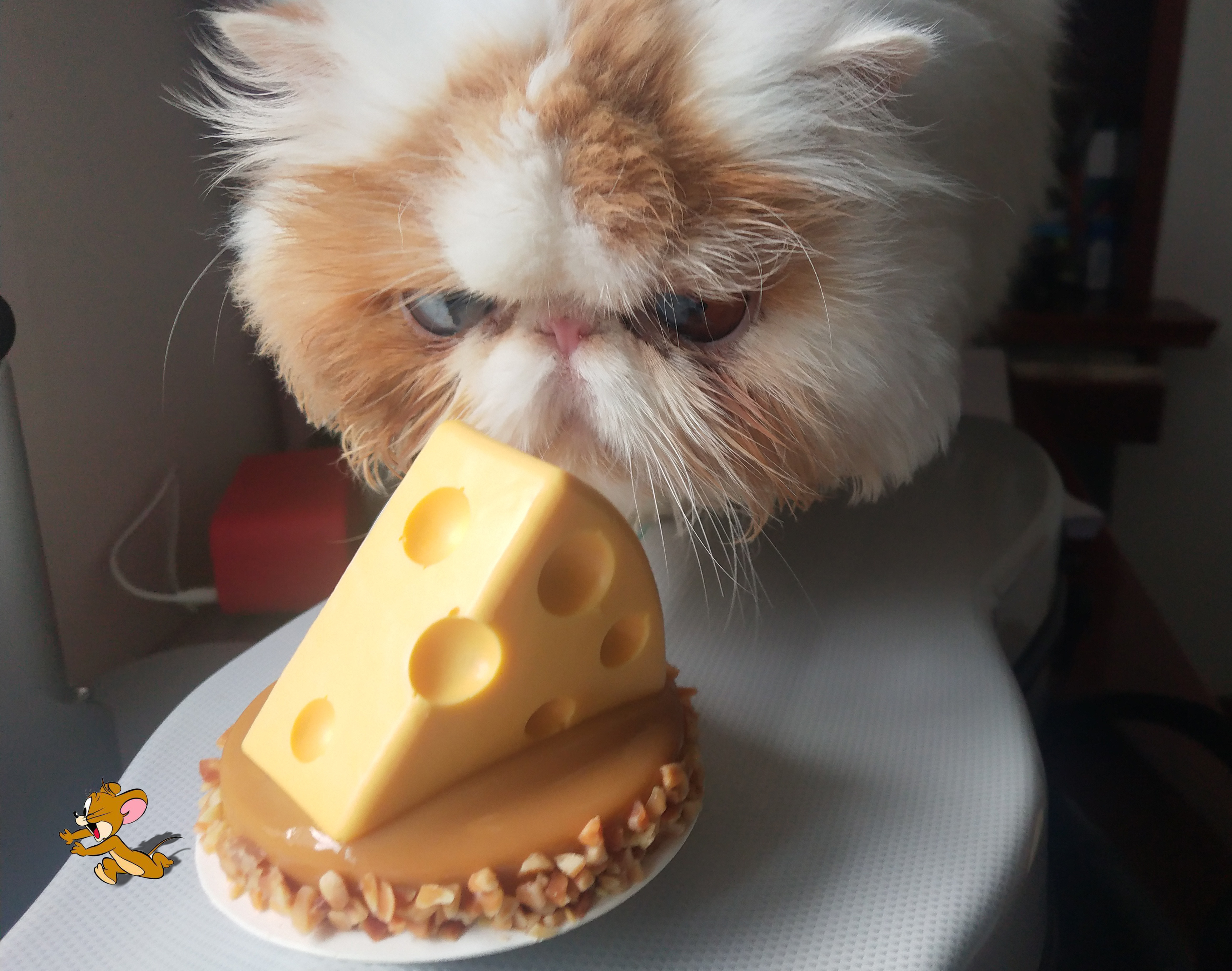 为什么星巴克的蛋糕那么贵,星巴克网红蛋糕为啥这么难买