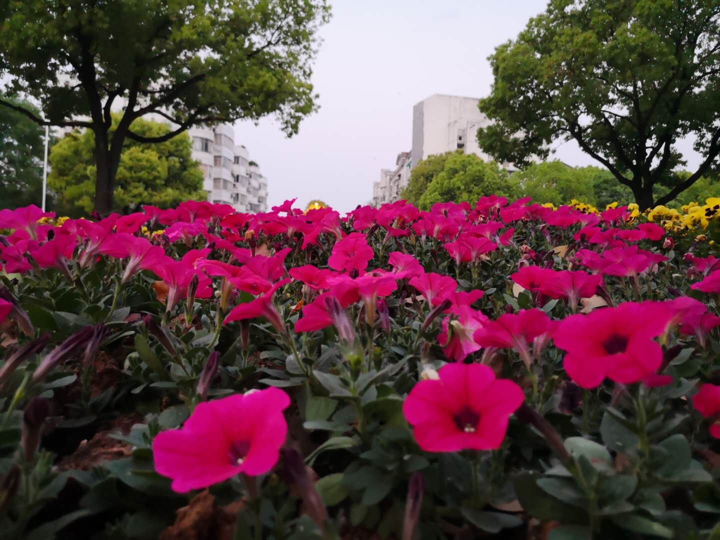 鲜活时尚口语大全,常用流行英语口语
