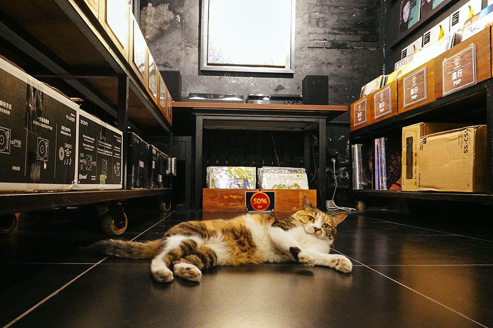 索尼rx100vii功能如何,索尼黑卡rx100一代拍摄视频怎么样