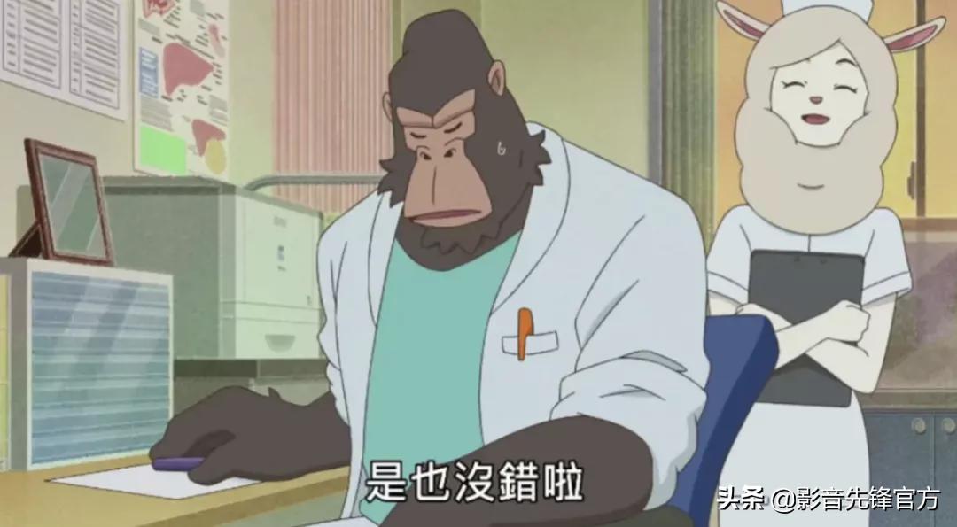 黑马新番推荐，这才是成年人该看的动漫