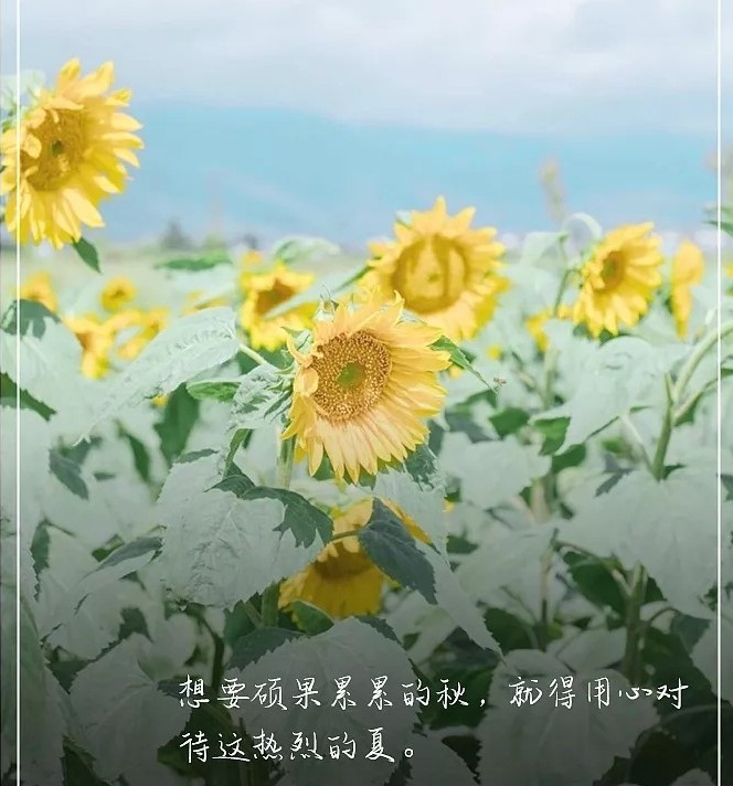 日语接续词一览表,日语句型接续规律