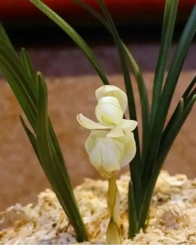 那些花上亿买豪宅的都是什么人,北京值得买的一套房