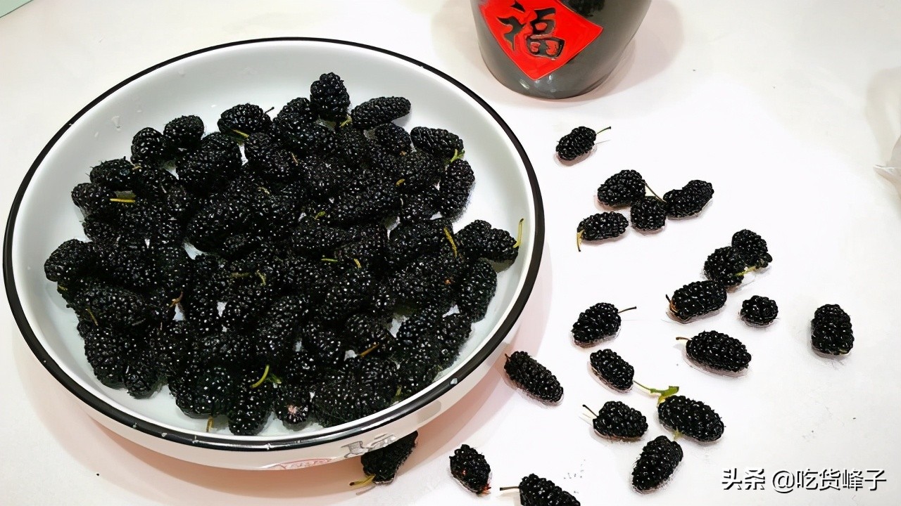 吃桑葚怎么洗才没有虫子,只用清水洗桑葚