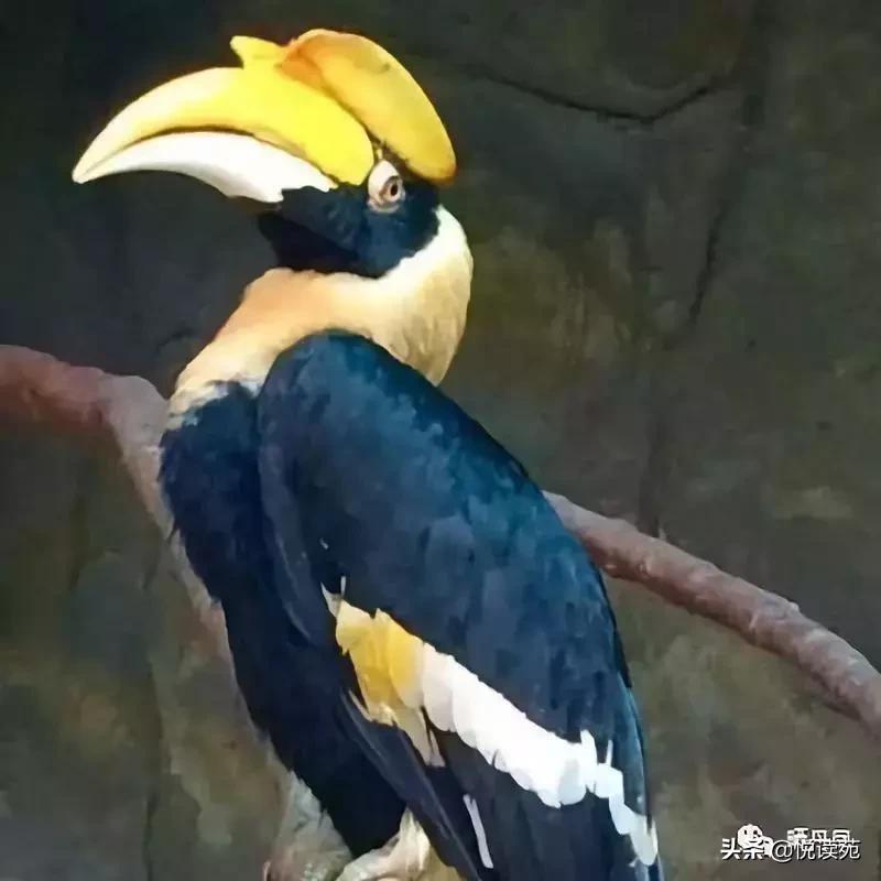 丹凤晒晒：从此不再见名人