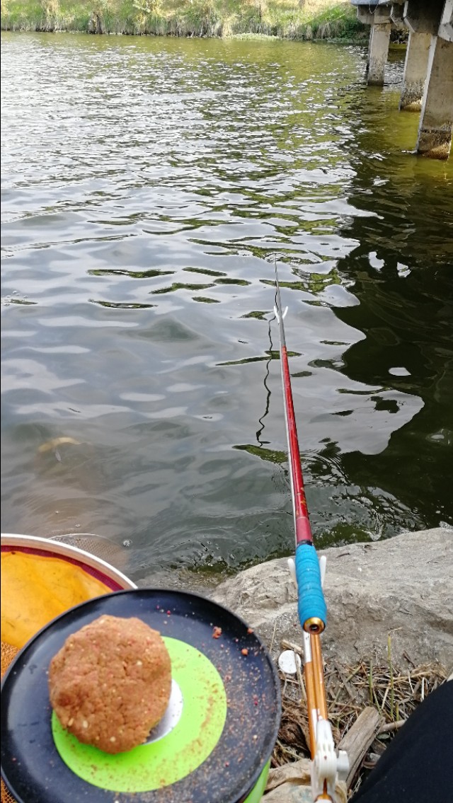 如何正确半水调漂,新手什么是半水调漂不带钩