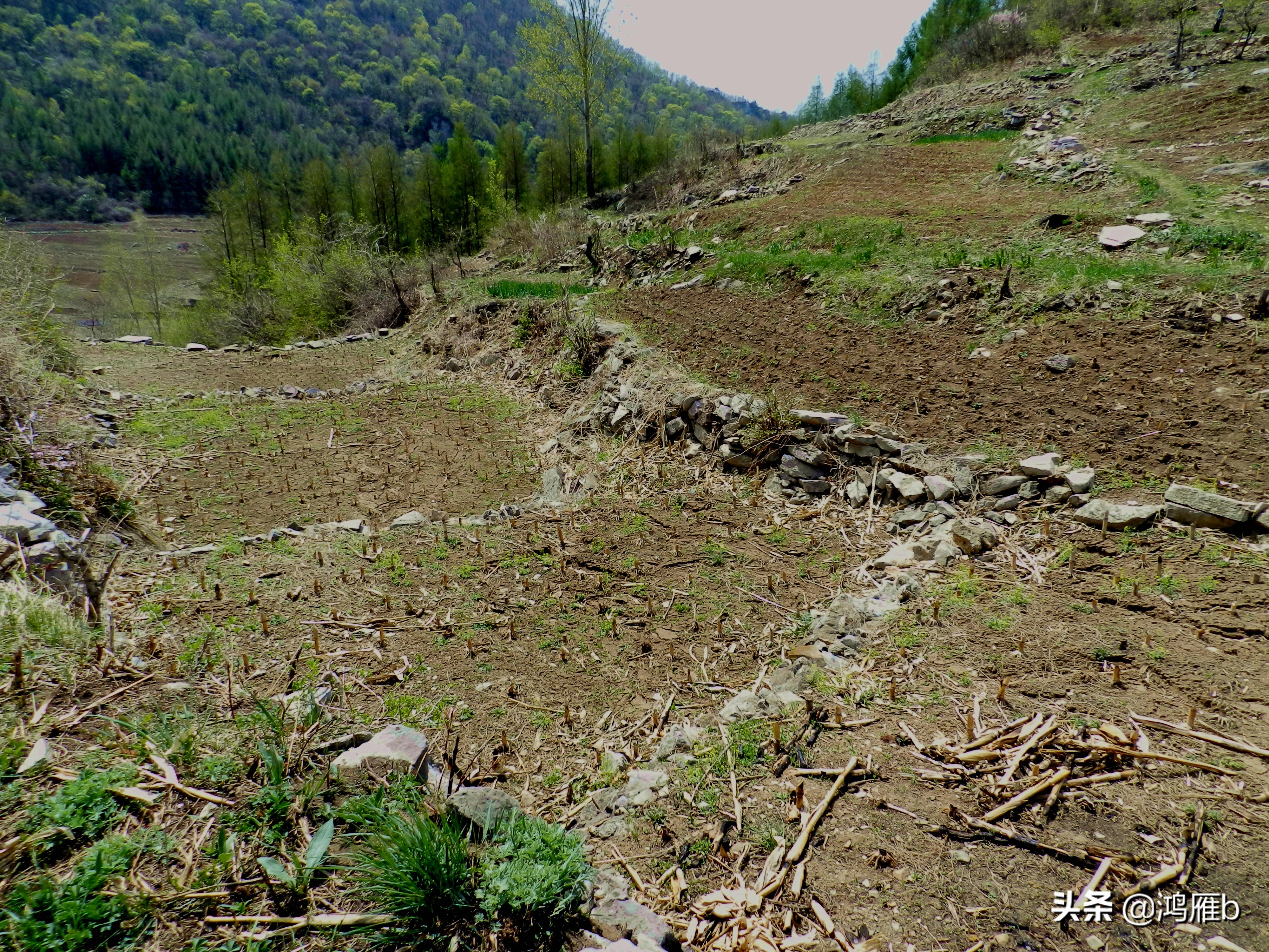 本溪小众秘境,本溪神秘山村
