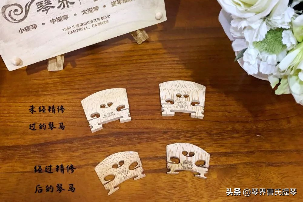 干货来了音频,干货来了单音加和弦练习追梦人