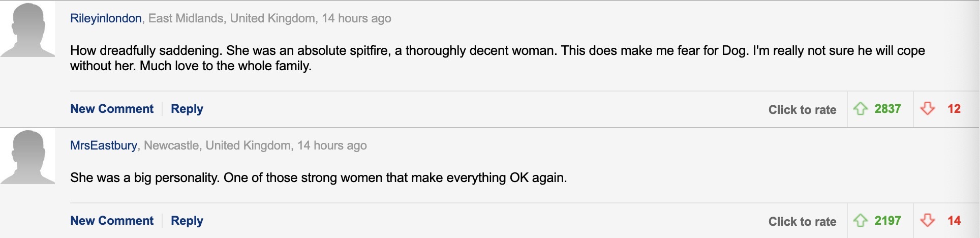 缇庡浗鐘汉鐚庝汉,缇庡浗鐘姜鐚庝汉