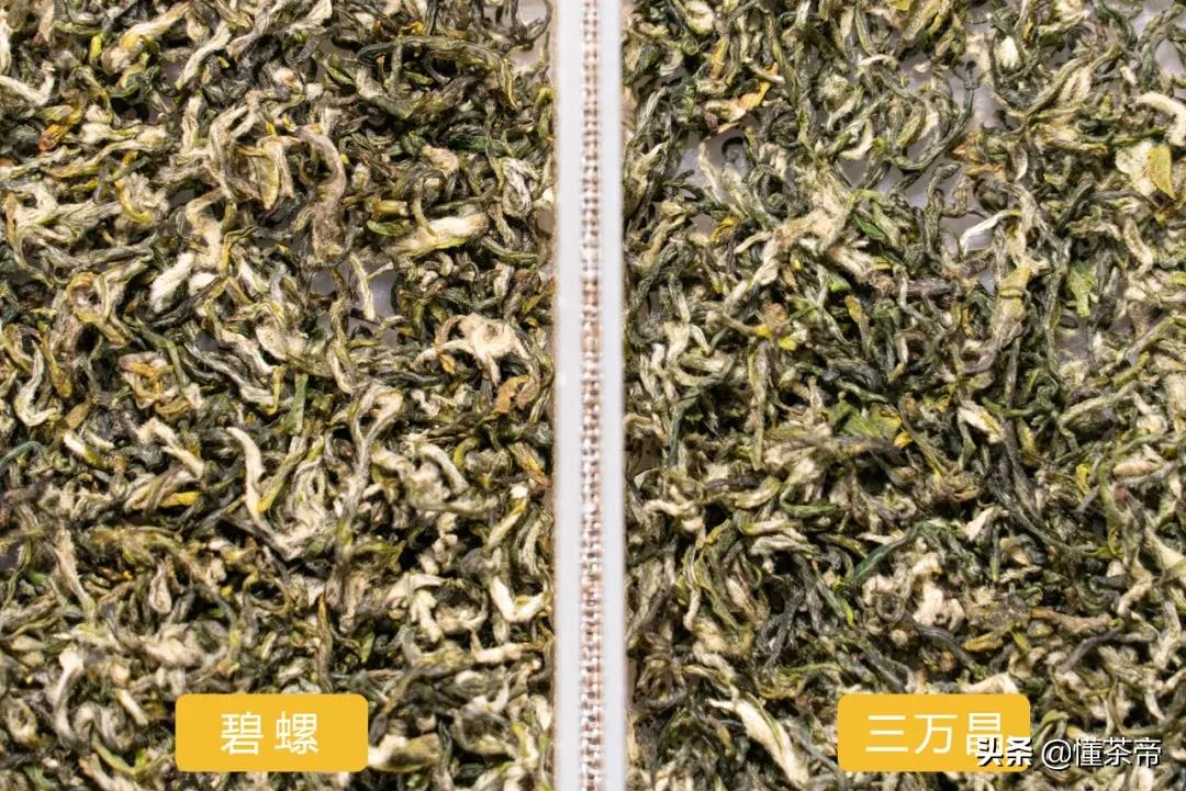 三万昌和碧螺牌哪个碧螺春好喝,三万昌和碧螺牌哪个更有性价比