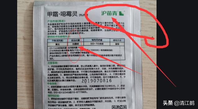 旱育秧为什么出苗不齐,稻苗旱死是什么原因