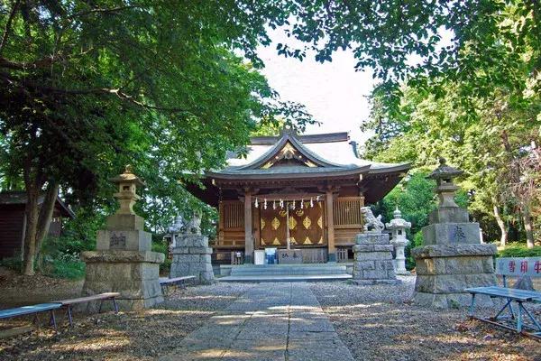 日本过年去寺庙祈福,日本新年神社