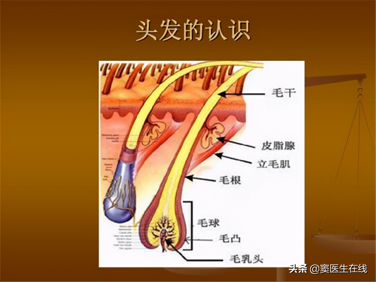 体毛刮掉的好处和坏处,体毛要不要刮掉要一直处理吗