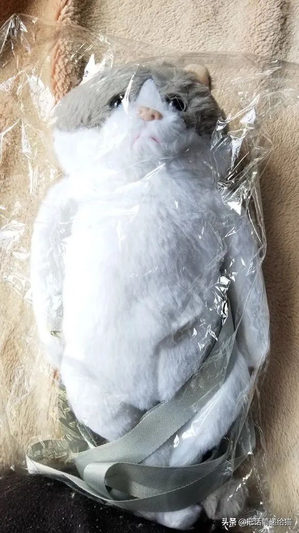 日本网红猫包,日本网红猫咪包