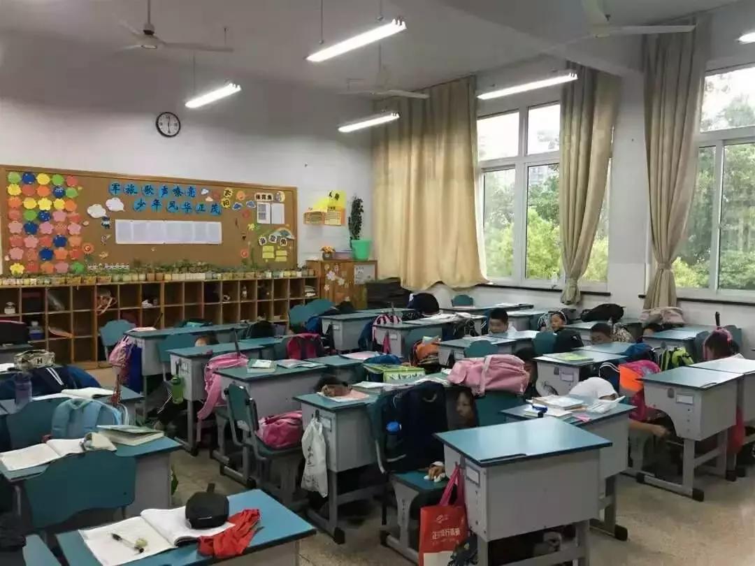 文一街小学杭州,西湖小学和文一街小学哪个好